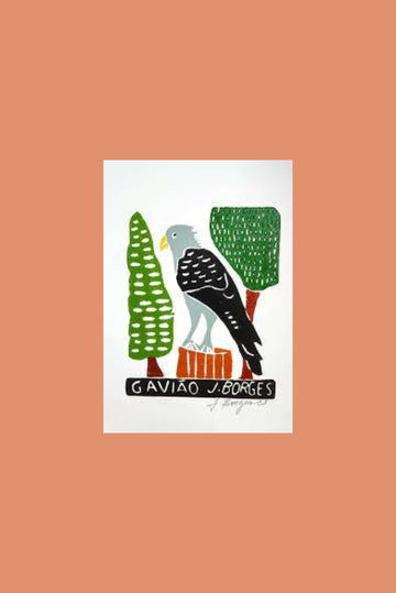 J. Borges Print - Hawk - Imaterial-BR Connection Limited